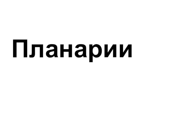 Планарии