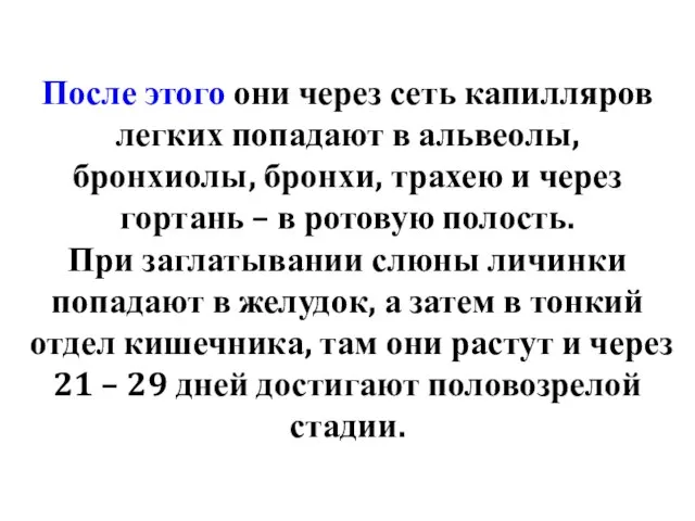 После этого они через сеть капилляров легких попадают в альвеолы, бронхиолы,