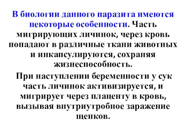 В биологии данного паразита имеются некоторые особенности. Часть мигрирующих личинок, через