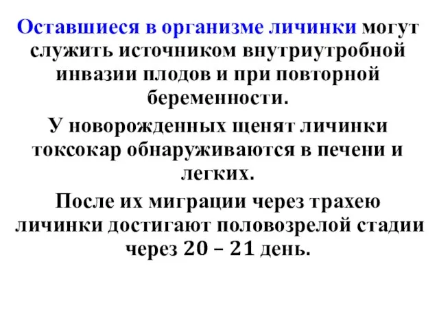 Оставшиеся в организме личинки могут служить источником внутриутробной инвазии плодов и