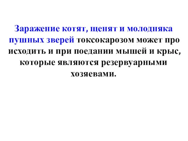 Заражение котят, щенят и молодняка пушных зверей токсокарозом может про­исходить и