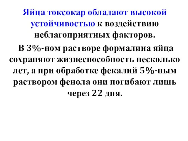 Яйца токсокар обладают высокой устойчивостью к воздействию неблагоприятных факторов. В 3%-ном