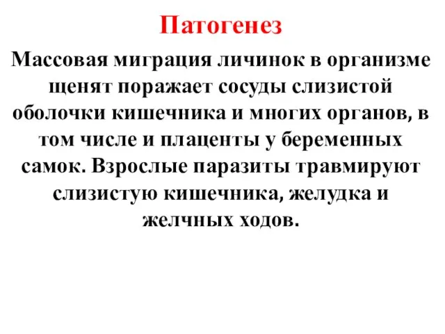 Патогенез Массовая миграция личинок в организме щенят поражает сосуды слизистой оболочки