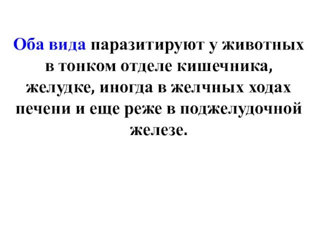 Оба вида паразитируют у животных в тонком отделе кишечника, желудке, иногда