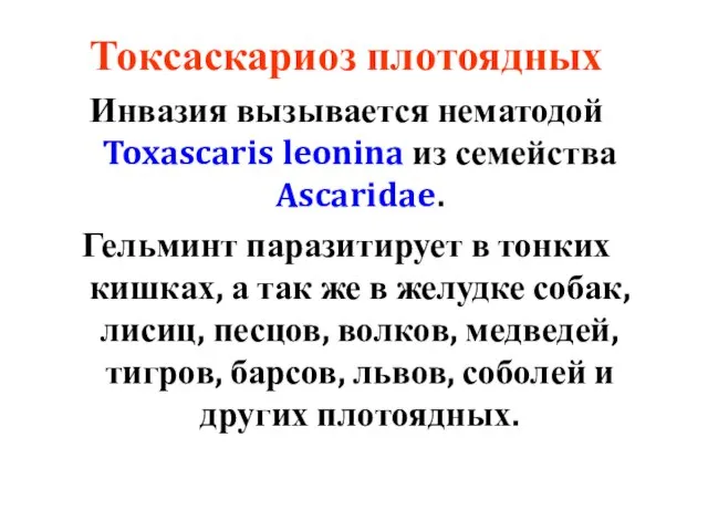 Токсаскариоз плотоядных Инвазия вызывается нематодой Toxascaris leonina из семейства Ascaridae. Гельминт