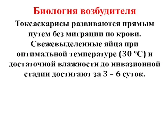 Биология возбудителя Токсаскарисы развиваются прямым путем без миграции по крови. Свежевыделенные