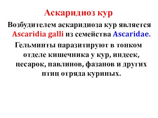 Аскаридиоз кур Возбудителем аскаридиоза кур является Ascaridia galli из семейства Ascaridae.