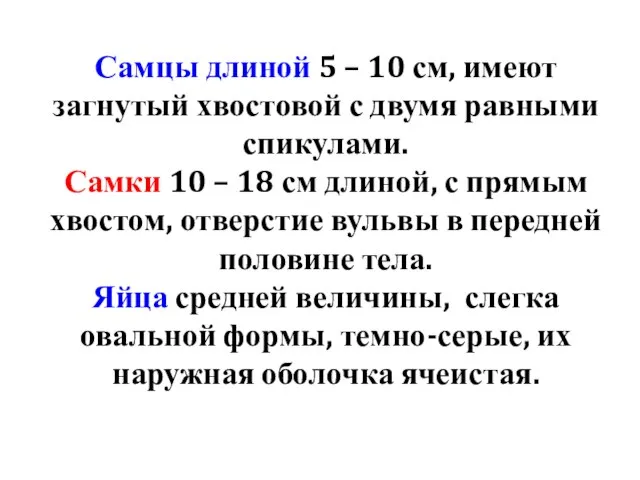 Самцы длиной 5 – 10 см, имеют загнутый хвостовой с двумя