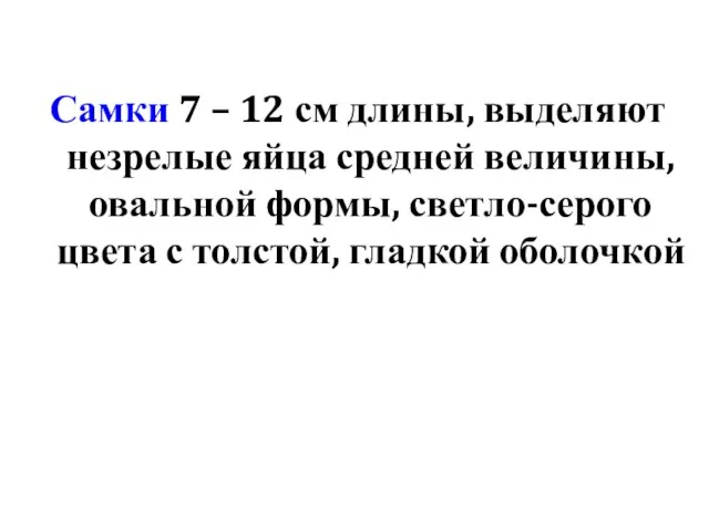 Самки 7 – 12 см длины, выделяют незрелые яйца средней величины,