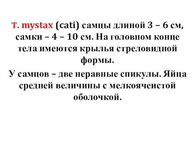 T. mystax (cati) самцы длиной 3 – 6 см, самки –