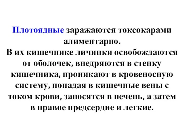 Плотоядные заражаются токсокарами алиментарно. В их кишечнике личинки освобождаются от оболочек,