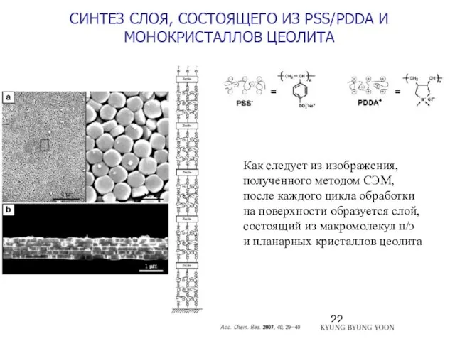 СИНТЕЗ СЛОЯ, СОСТОЯЩЕГО ИЗ PSS/PDDA И МОНОКРИСТАЛЛОВ ЦЕОЛИТА Как следует из