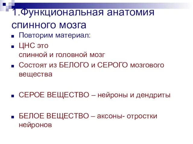 1.Функциональная анатомия спинного мозга Повторим материал: ЦНС это спинной и головной