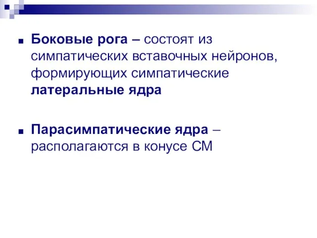 Боковые рога – состоят из симпатических вставочных нейронов, формирующих симпатические латеральные