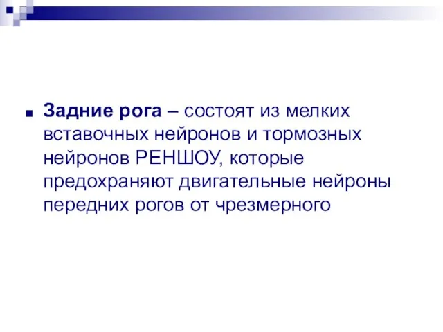 Задние рога – состоят из мелких вставочных нейронов и тормозных нейронов