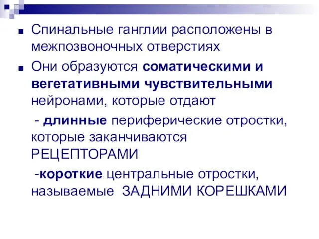 Спинальные ганглии расположены в межпозвоночных отверстиях Они образуются соматическими и вегетативными