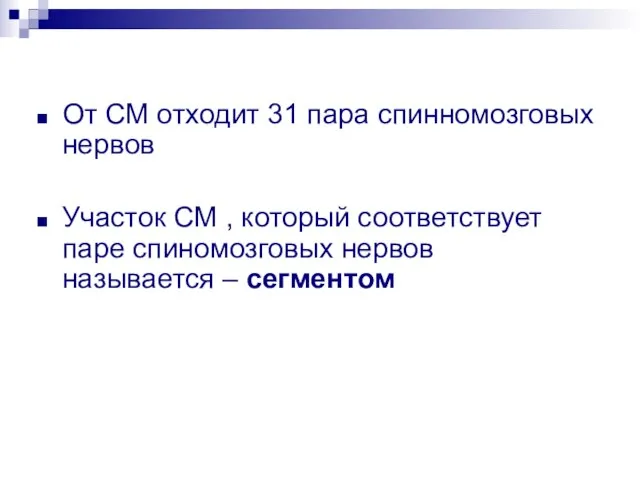 От СМ отходит 31 пара спинномозговых нервов Участок СМ , который