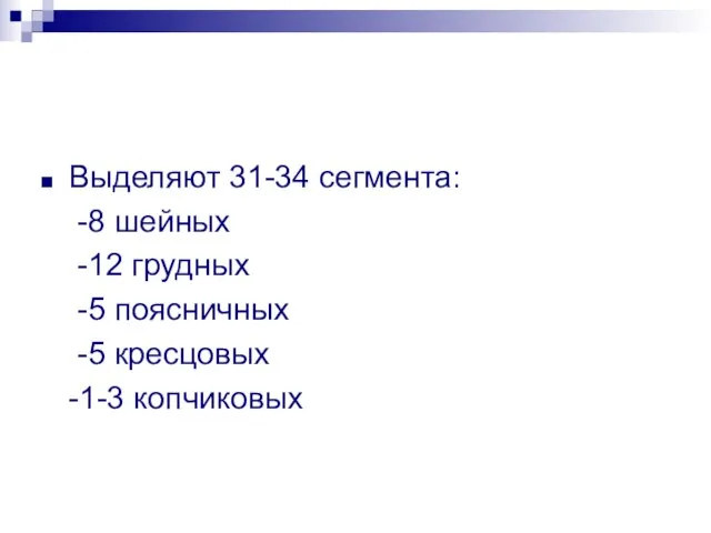 Выделяют 31-34 сегмента: -8 шейных -12 грудных -5 поясничных -5 кресцовых -1-3 копчиковых