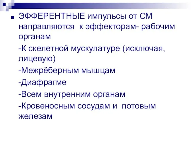 ЭФФЕРЕНТНЫЕ импульсы от СМ направляются к эффекторам- рабочим органам -К скелетной