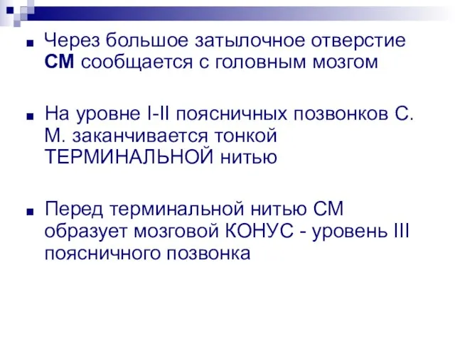 Через большое затылочное отверстие СМ сообщается с головным мозгом На уровне