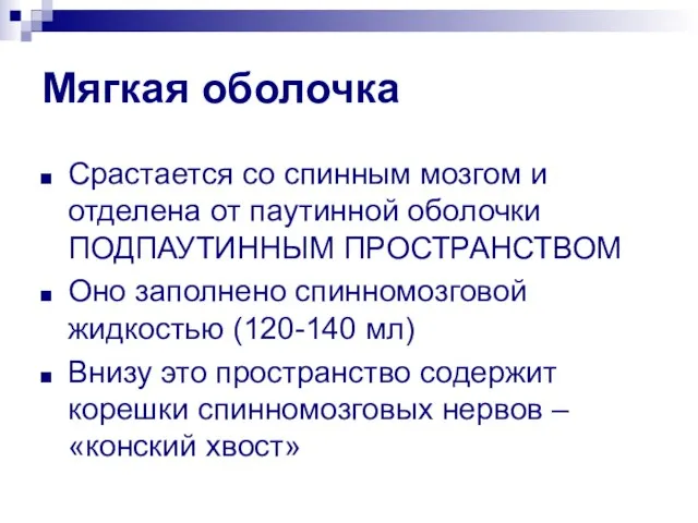 Мягкая оболочка Срастается со спинным мозгом и отделена от паутинной оболочки