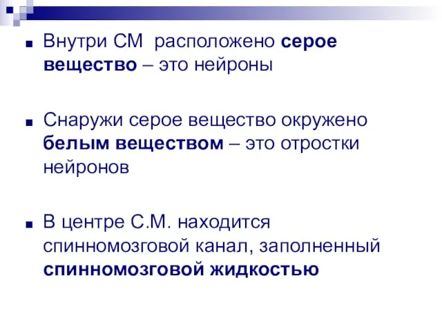 Внутри СМ расположено серое вещество – это нейроны Снаружи серое вещество