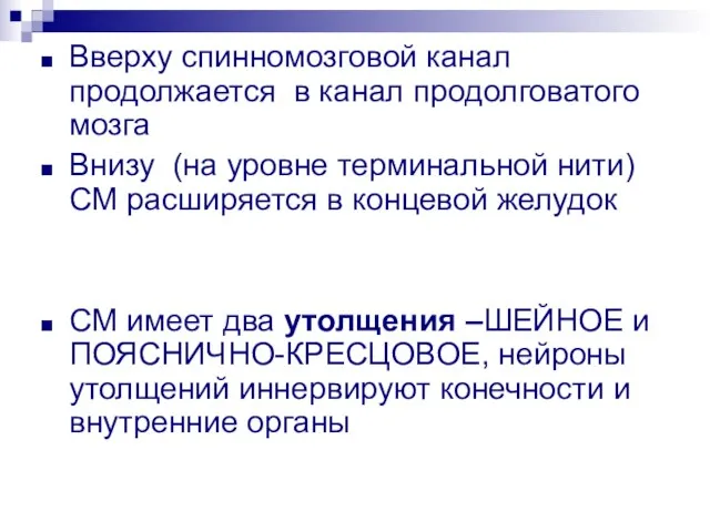 Вверху спинномозговой канал продолжается в канал продолговатого мозга Внизу (на уровне