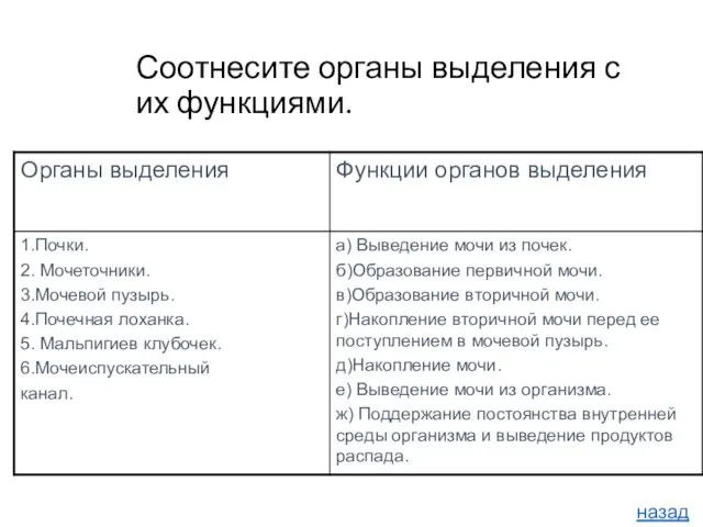 Соотнесите органы выделения с их функциями. назад