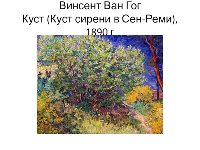 Винсент Ван Гог Куст (Куст сирени в Сен-Реми), 1890 г