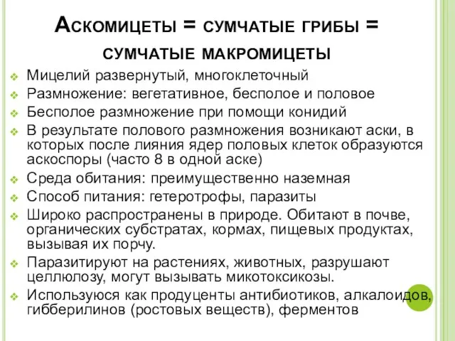 Аскомицеты = сумчатые грибы = сумчатые макромицеты Мицелий развернутый, многоклеточный Размножение: