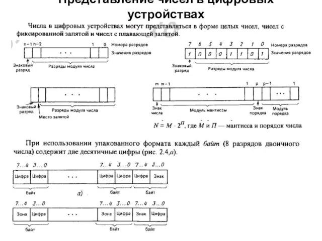 Представление чисел в цифровых устройствах