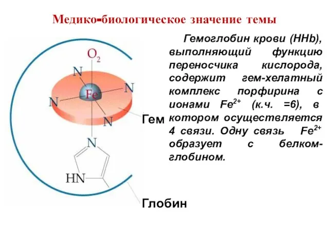 Гемоглобин крови (HHb), выполняющий функцию переносчика кислорода, содержит гем-хелатный комплекс порфирина