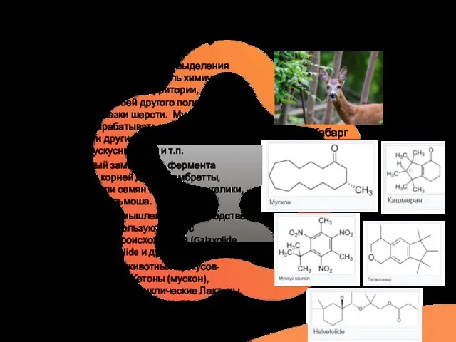 Мускус Животный мускус — продукт выделения мускусных желёз; играет роль химического