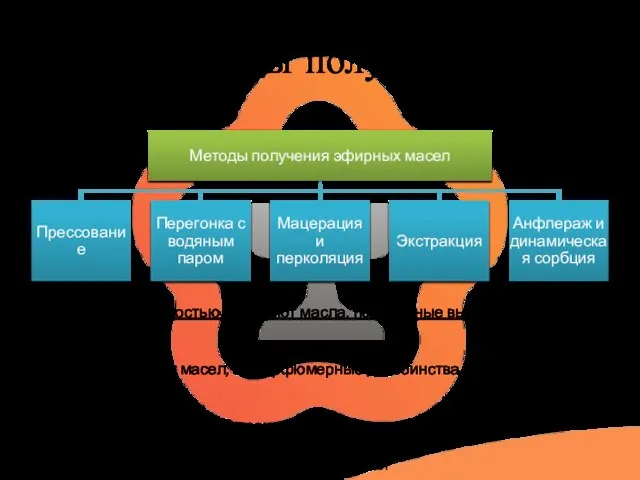 Методы получения Наибольшей ценностью обладают масла, полученные выжиманием и экстракцией Качество