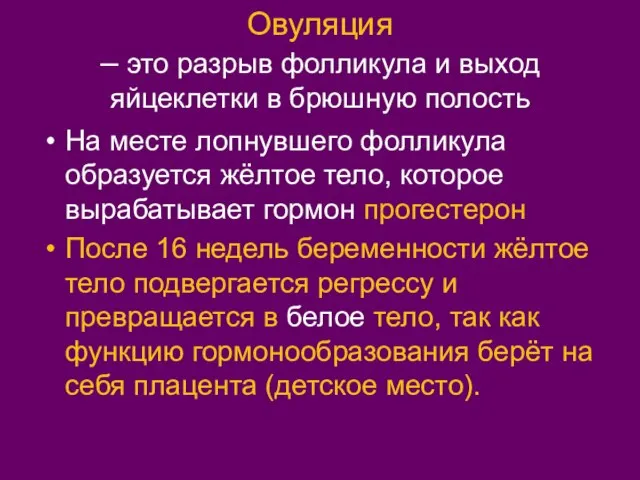 Овуляция – это разрыв фолликула и выход яйцеклетки в брюшную полость