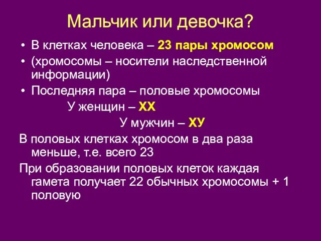 Мальчик или девочка? В клетках человека – 23 пары хромосом (хромосомы