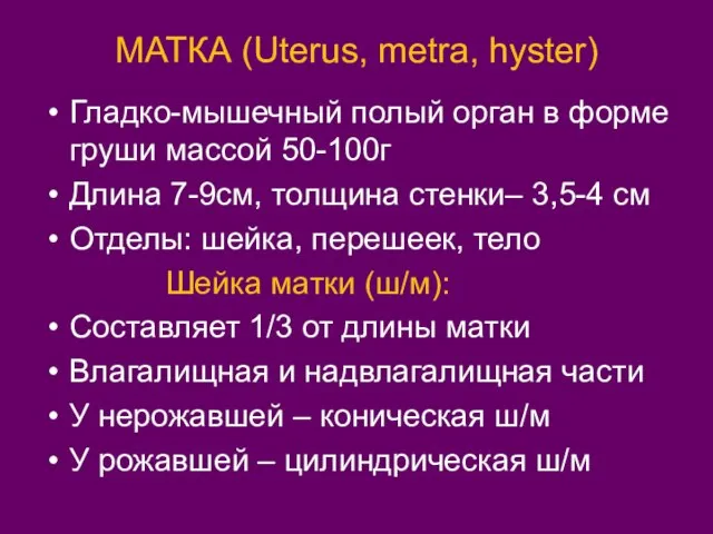 МАТКА (Uterus, metra, hyster) Гладко-мышечный полый орган в форме груши массой