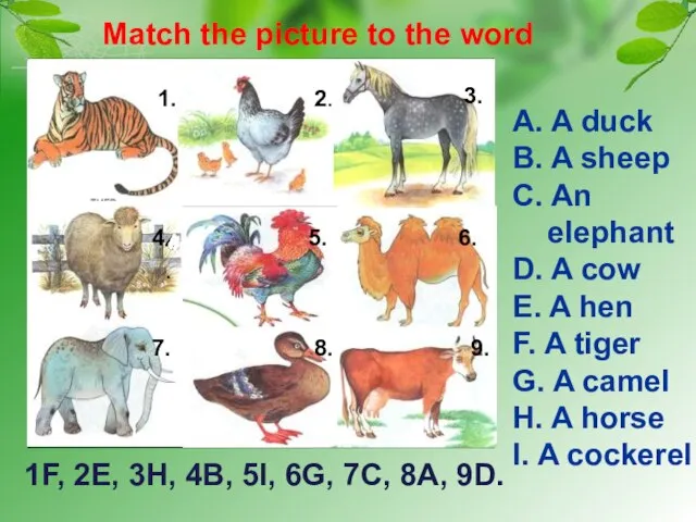 Match the picture to the word 1. 2. 3. 4. 4.