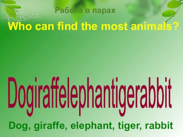 Who can find the most animals? Dog, giraffe, elephant, tiger, rabbit Dogiraffelephantigerabbit Работа в парах