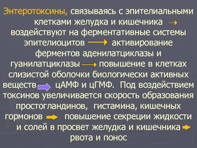 Энтеротоксины, связываясь с эпителиальными клетками желудка и кишечника воздействуют на ферментативные