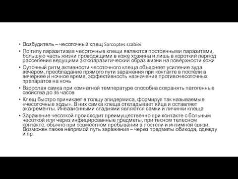 Возбудитель – чесоточный клещ Sarcoptes scabiei По типу паразитизма чесоточные клещи