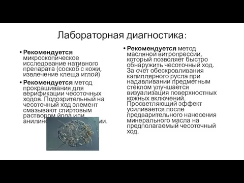 Лабораторная диагностика: Рекомендуется микроскопическое исследование нативного препарата (соскоб с кожи, извлечение