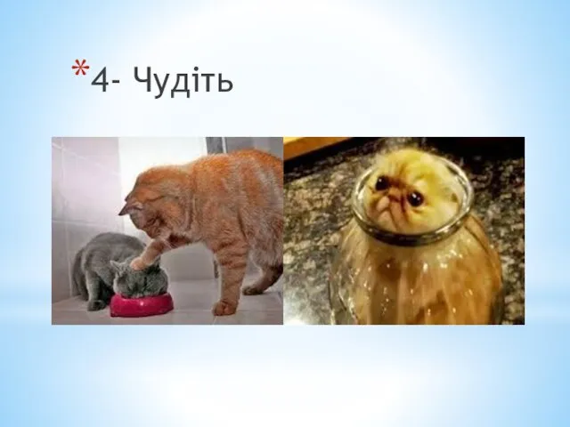 4- Чудіть