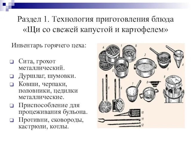 Раздел 1. Технология приготовления блюда «Щи со свежей капустой и картофелем»