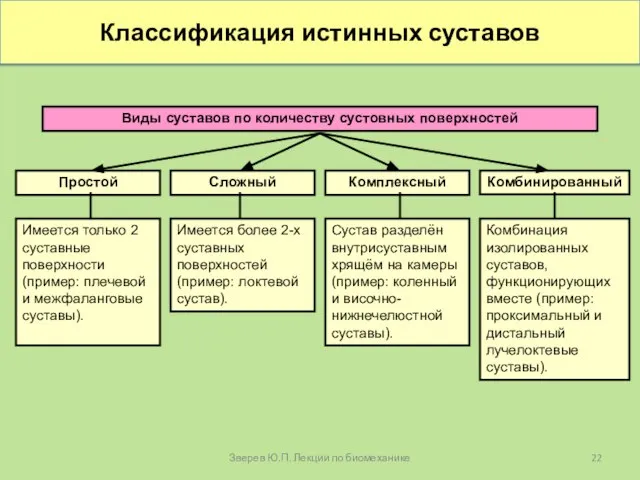 Классификация истинных суставов Виды суставов по количеству сустовных поверхностей Простой Комбинированный