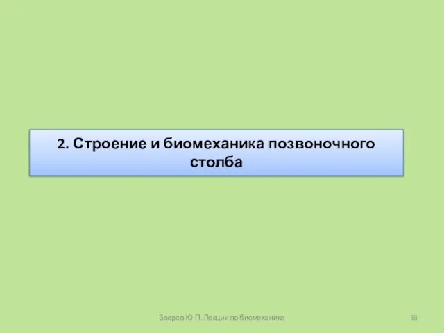 2. Строение и биомеханика позвоночного столба Зверев Ю.П. Лекции по биомеханике