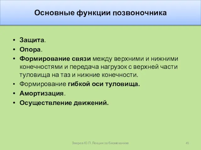 Основные функции позвоночника Защита. Опора. Формирование связи между верхними и нижними