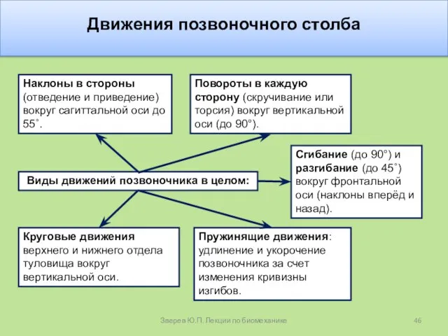 Движения позвоночного столба Виды движений позвоночника в целом: Сгибание (до 90°)