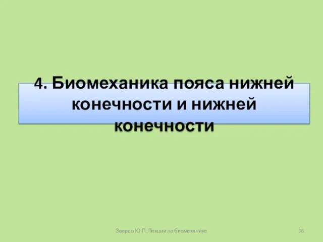 4. Биомеханика пояса нижней конечности и нижней конечности Зверев Ю.П. Лекции по биомеханике