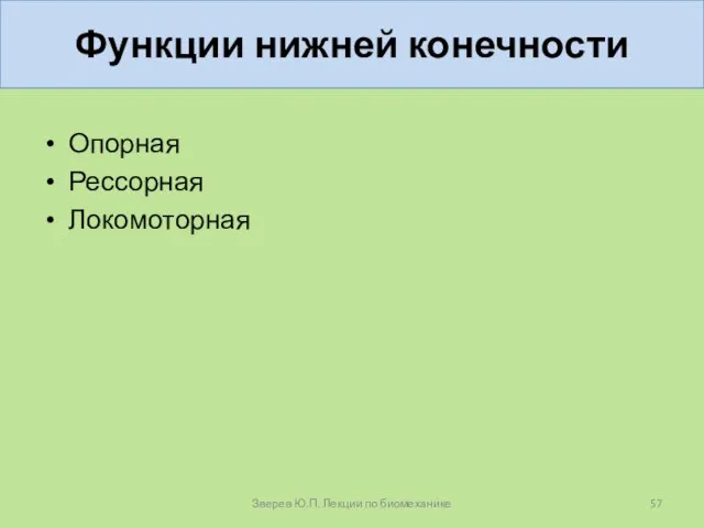 Функции нижней конечности Опорная Рессорная Локомоторная Зверев Ю.П. Лекции по биомеханике